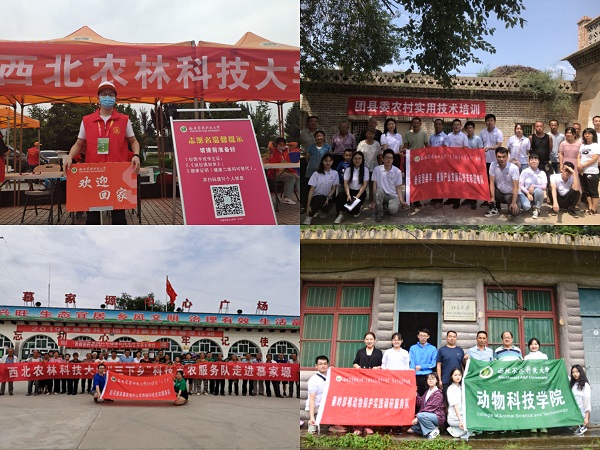 0a3bea19f7e843da9ecb8e4a18cd418b.jpg pt2021_04_29_22_09_14.jpg