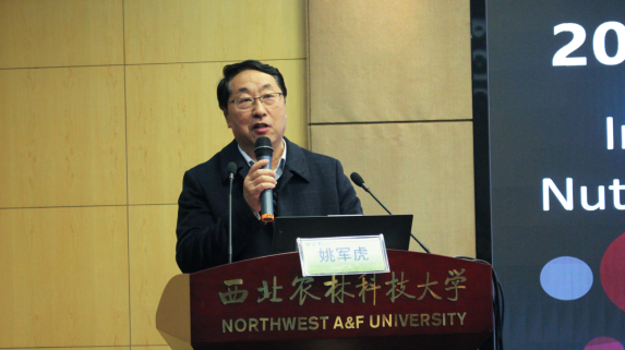 55.png