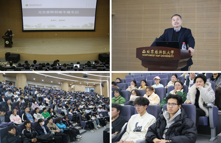 组图.jpg