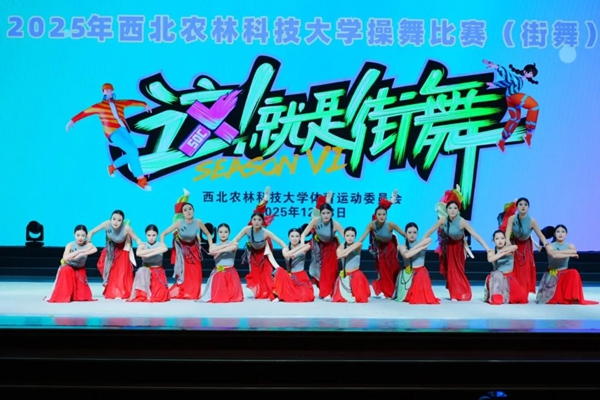 未命名_副本.jpg