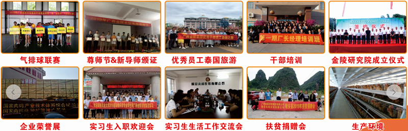 396e10d43c474ad0ae9e8dd26eb06637.png 企业风采.png