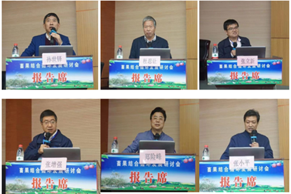 55bb26fb55414438a3c06839fa55f4b0.png 报告_副本.png