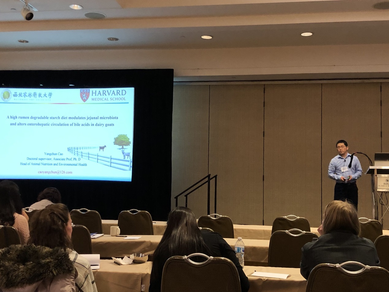 18a335b2bc854d69a43c47dd8ba5dc2a.jpg 18a335b2bc854d69a43c47dd8ba5dc2a.jpg