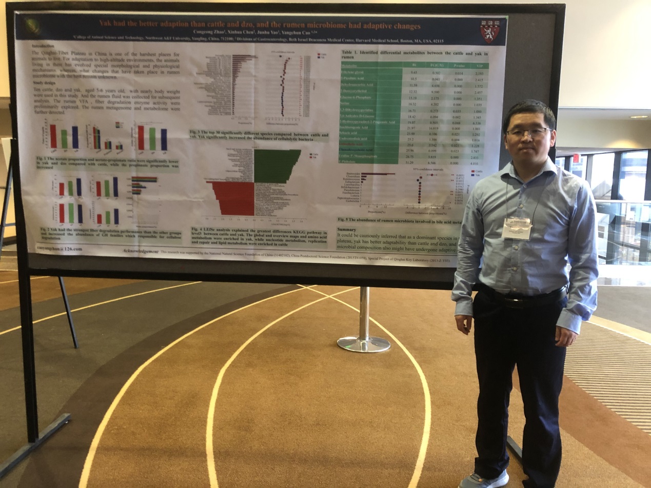 4b0d286081c74ef5b557c56f4bb298ff.jpg 4b0d286081c74ef5b557c56f4bb298ff.jpg