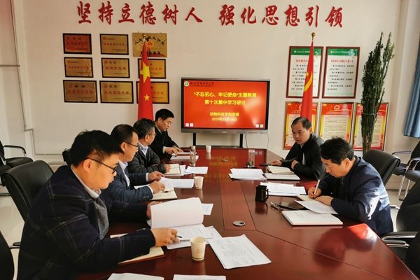 c14dcbfd44ee4d4a952f9646ecf93428.jpg IMG_20191114_103247.jpg