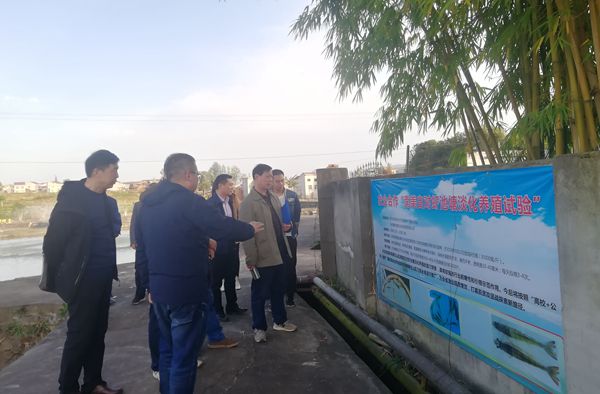 faa3c8bf47bf4e14b49e4250d68202fd.jpg 查看白对虾.jpg