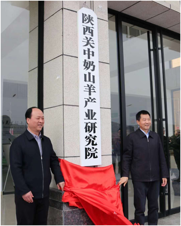 2534197181df4835b82a6ea8dab1f910.png 陕西省副省长、宝鸡市委书记徐启方和西北农林科技大学副校长韦革宏为陕西关中奶山羊产业研究院揭牌.png