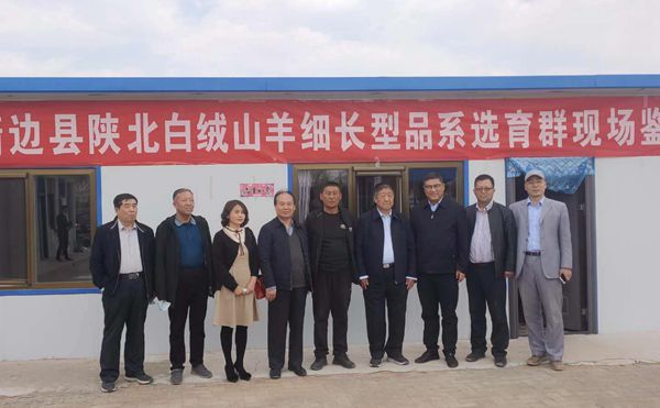 49c3fa679eb047b0b75bf79a35ba0c80.jpg 靖边县高品质山羊绒现场鉴定会照片5_副本.jpg