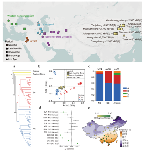 986deec0abb041258f10b7154657132e.png 【科研新进展】(70)澳门六合彩高手
利用古基因组揭示中国山羊演化历程 .png
