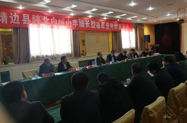 e25513e3d73b43ada9c94374763005b9.jpg 鉴定会.jpg