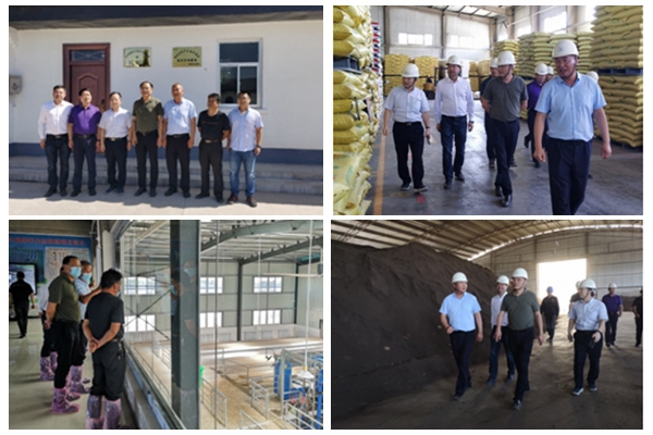 ae44494e05a5439d92266c90c6540e1d.jpg NeoImage_副本.jpg