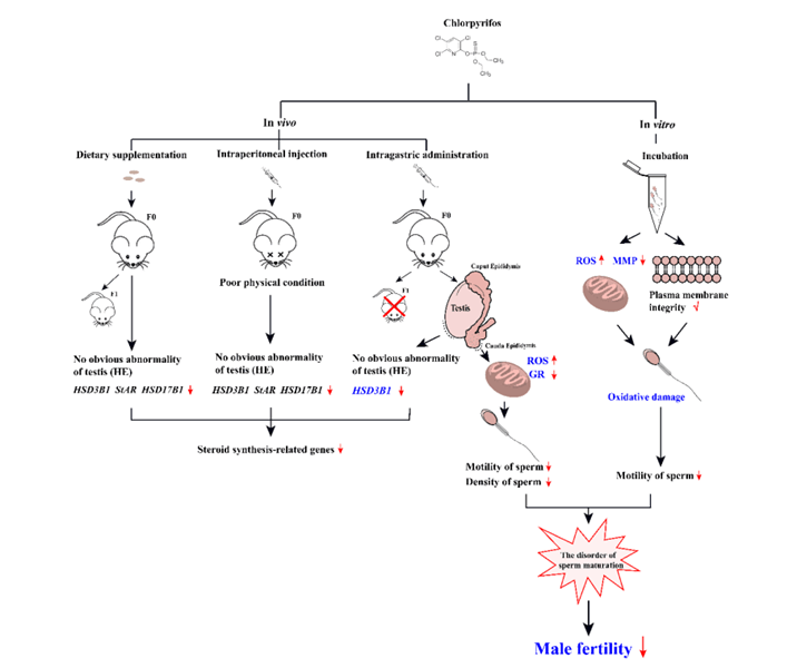 c1c788589e1744a68b712ffe4521c44d.png 图片1_副本_副本.png