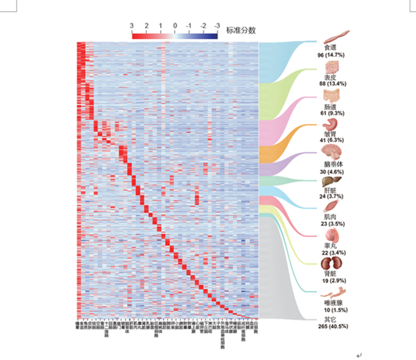 dfe3741b715f46c3a8c889c83262dde9.png 2_副本.png