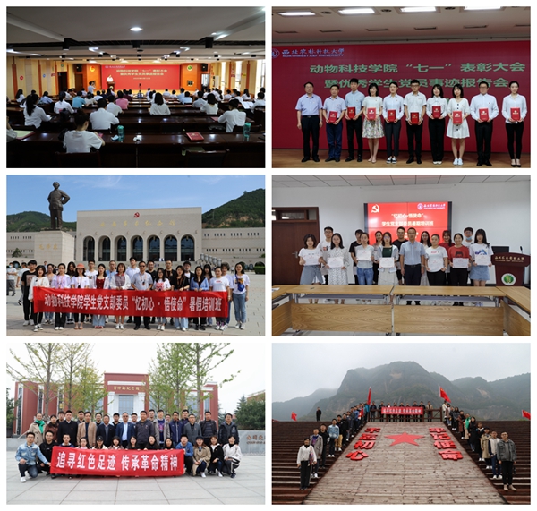 02bdeea483154cb980bca851525dd017.jpg 166.jpg