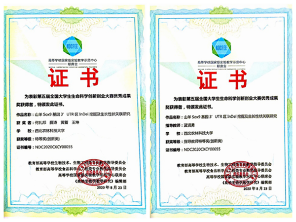 044dd93137094841a25bb58af172c94b.png 3e90d1af02da4b0fbbb0a39e3f5e16d3 (1)_副本.png