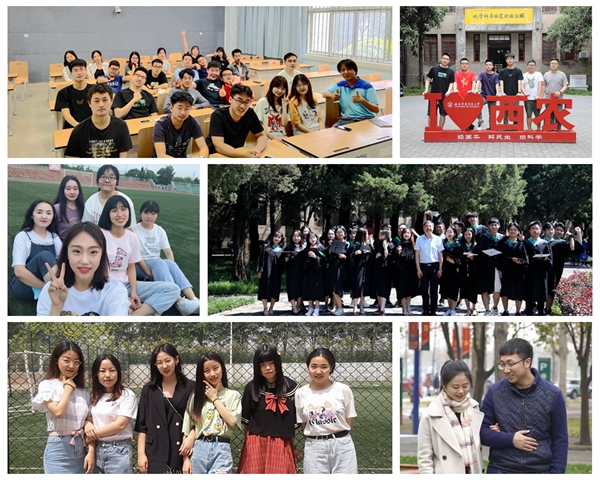 318113717b7e4b3e87f4e86bf0fcb455.jpg 97cf9281039d4dc88f20e850e0707298_副本.jpg