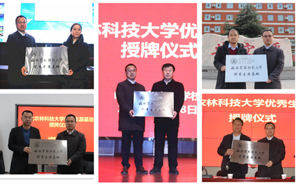 44f9e5ad9b364035b0138affd4ab90a6.png 图片3.png