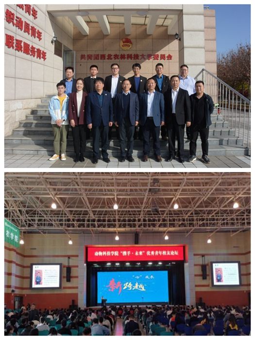 87db6bd328b34c37adb0bf461be76565.jpg 177.jpg