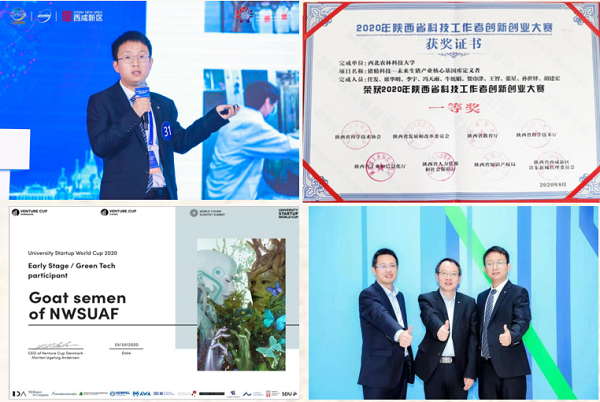 7f0cf96eb76e420092c81e45c456ebd7.png 图片3.png