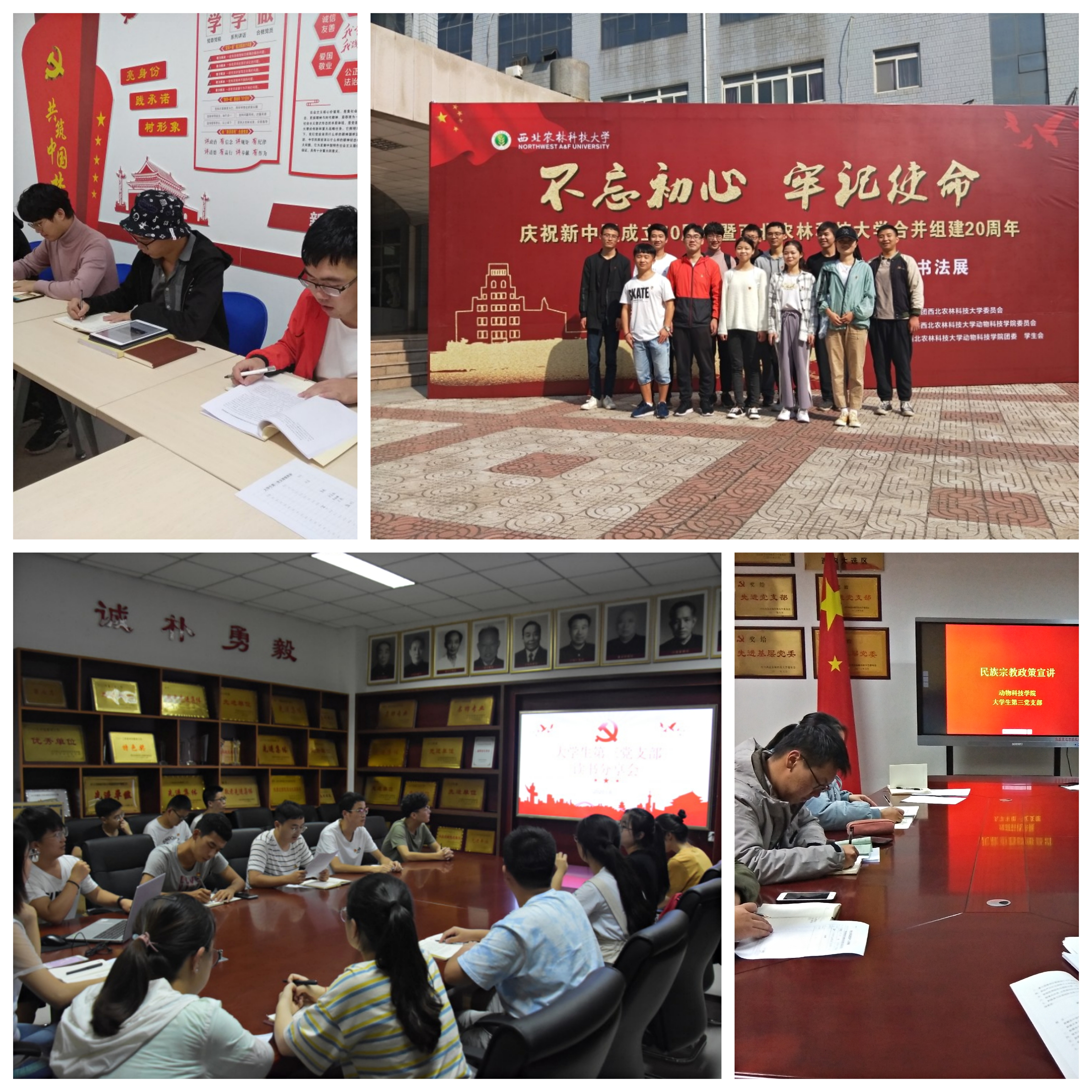 74b8054735814a518526ec8c32870a23.jpg 74b8054735814a518526ec8c32870a23.jpg