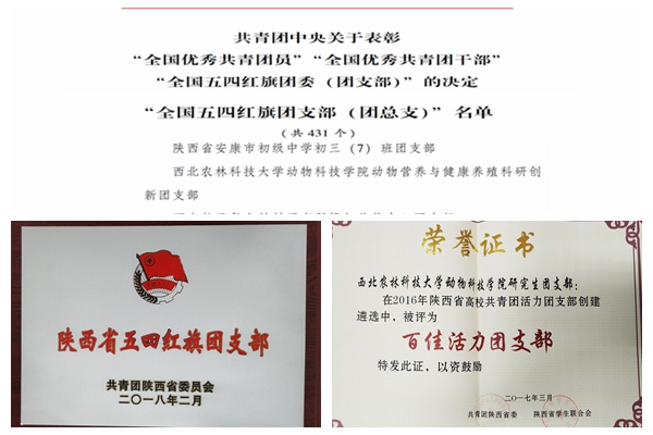 a16441b2dabe46cda51f3c5eb231c9b9.jpg 光影魔术手拼图.jpg