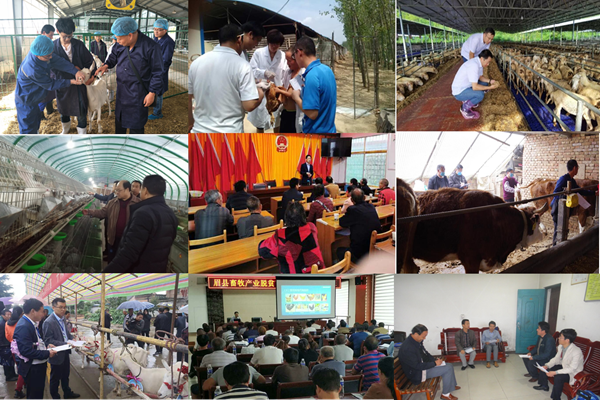 3c439a5d481d461aa7e0742fb6a68581.png 图片1.png