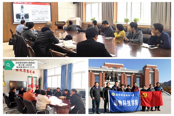 a709d4f9db2249869b3e1b25d48ef891.jpg NeoImage_副本.jpg