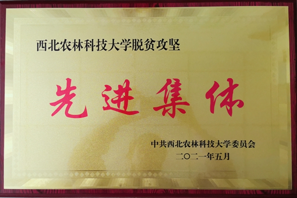 7c599493ce734d95834f6a3621c179a0.jpg IMG_20210526_152208_mh1622014207160.jpg