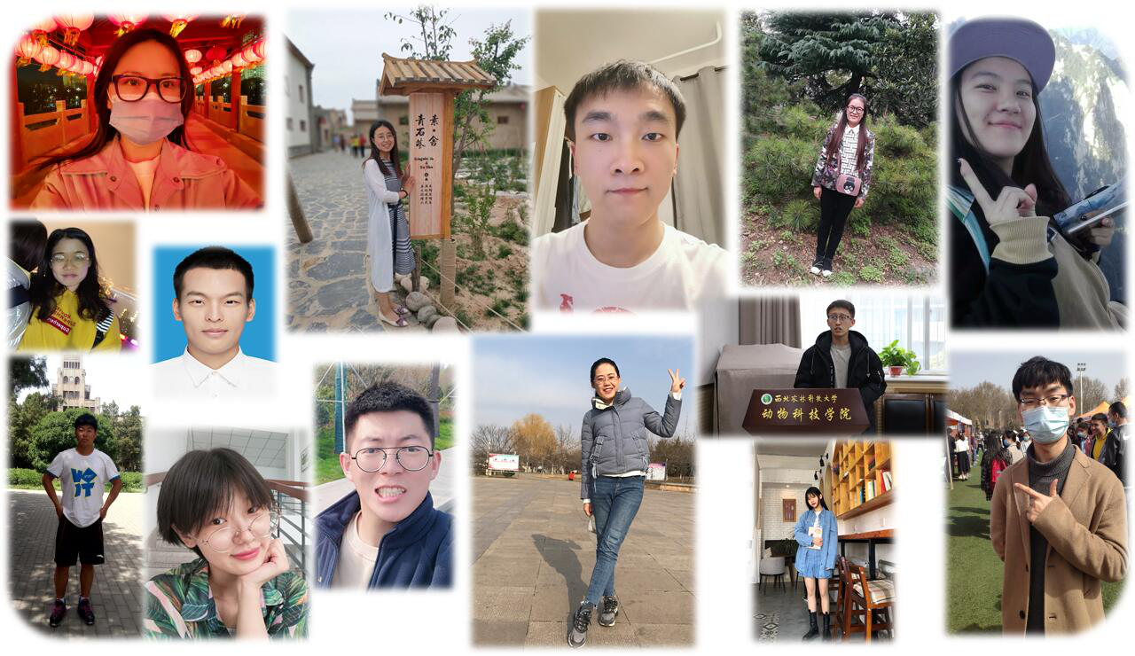 5db675a3a980435b80fc8f91ba877ea6.png 5db675a3a980435b80fc8f91ba877ea6.png