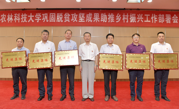 96eda2ee736e481c942a510b0d6c66f3.jpg 61de25ed602749e6a47dd68f2e5bcbc2.jpg