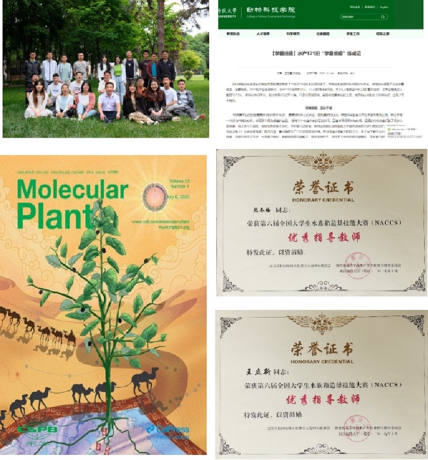 a63108f77ef9449c8149e32ad9e0b2b5.jpg 4.jpg