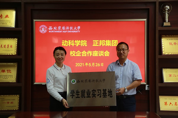 bb77a9d9ba714d479cf03421928aea25.jpg 奖牌.jpg