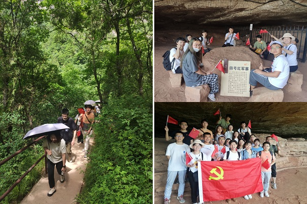 a6835e1913dd4cb29a5bef1b5bf6fda0.png image.png