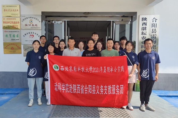 53c936f7ed464c098b535a97e3129cc7.jpg 11312C0072ABC14A690477938B43819D.jpg