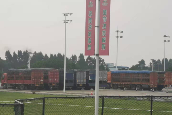 433aa6f335454f6aa2a00ea6bd3c0100.png 图片3.png