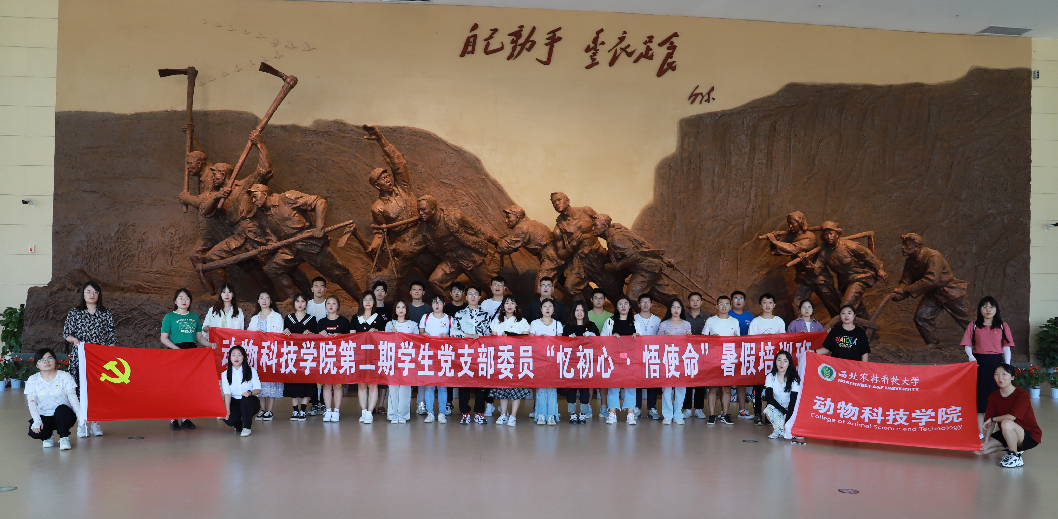 ad8cffae65804178a9c0ef1a66f215af.jpg ad8cffae65804178a9c0ef1a66f215af.jpg