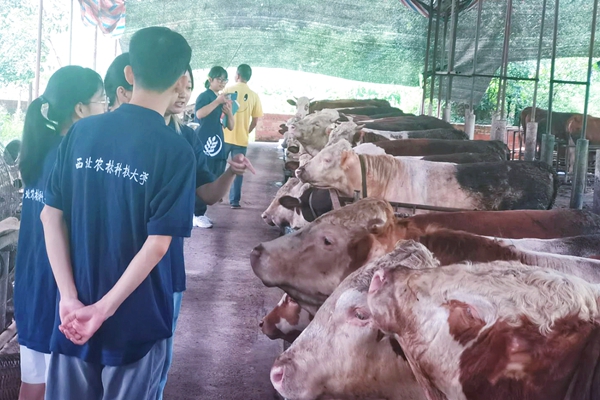 67a59e7f9bf04875915652ba253b8b9e.jpg 团队实地考察牛场.jpg