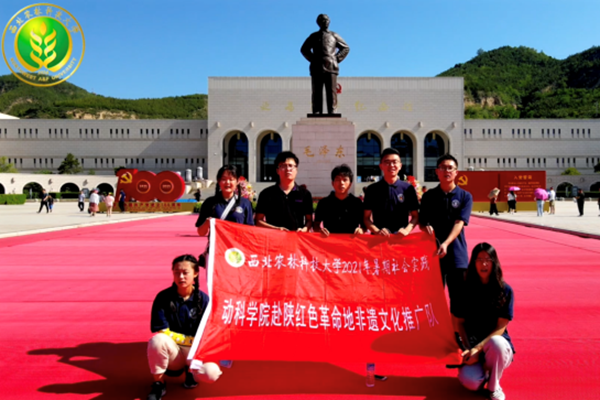 9618d7858dd44849a5d7124559f17366.png 图片1.png