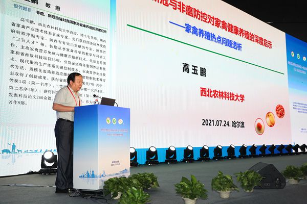 bc5c55cb713d401b8f1e09c310130a00.jpg 高玉鹏教授作报告.jpg