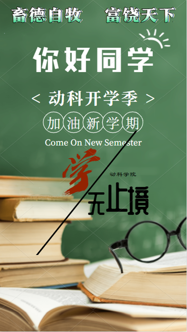 9bb0a2e123c84110820eddf6791d99d0.png 2333.png