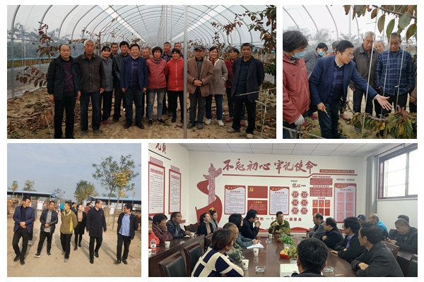 d90b17d3ba384c0098b41ef0d1031bc0.jpg NeoImage_副本.jpg