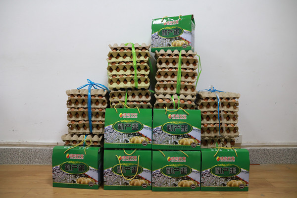 6c516aaea736475ba4027ab82611bc44.jpg 鸡蛋概图.jpg