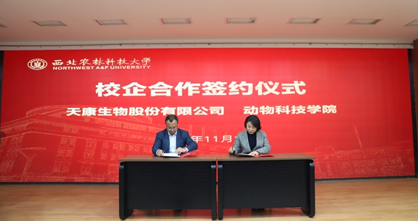 d1fb7a0c56d34bbd8fbc540a7c4e93dd.jpg IMG_2852.JPG