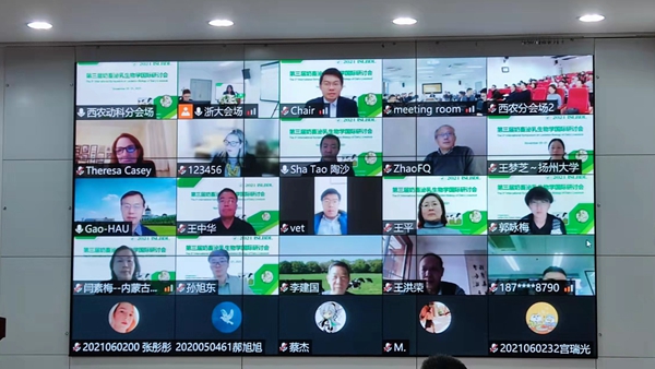 654734ac4cb64648b3200e1d8aa41f2d.jpg 在线会议截图_副本.jpg