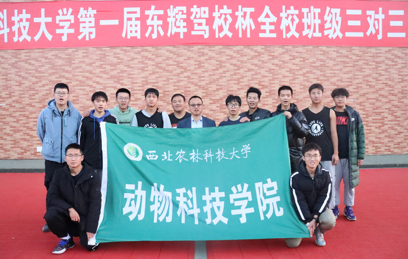 c50339da1ddb4eac8531411b5db41883.jpg 111111111.jpg