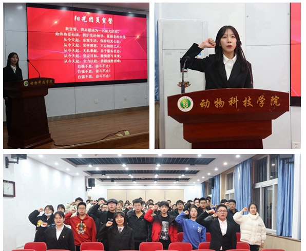 ea29da7e9a8d428684b80679767411bd.jpg af383ff806134b9aa86cce2408f56cef.jpg