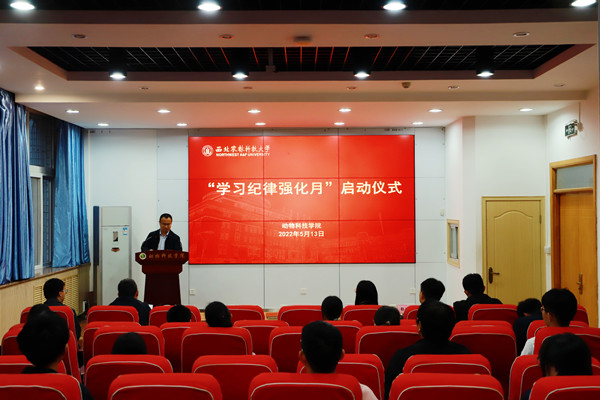 342d855b247648ffacd4c3fcff40c752.jpg 现场.jpg