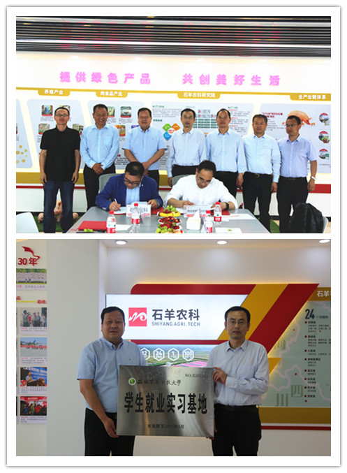 8b9a869a6b804d61991efe38708cf887.jpg 336A7955_副本_副本1.jpg