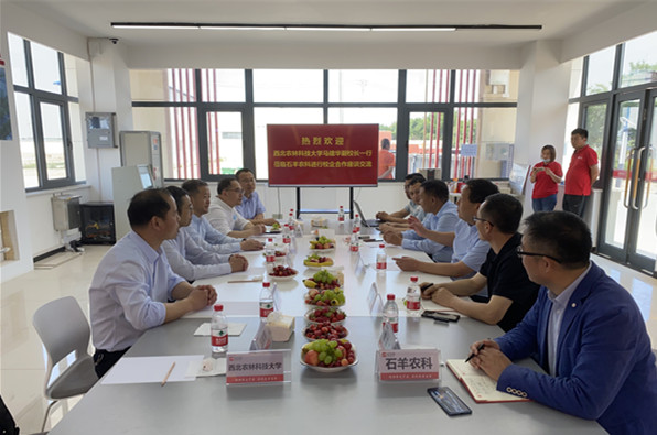 932085fb463e4d85884d0aeb3beffd2f.jpg IMG_6982_副本.jpg