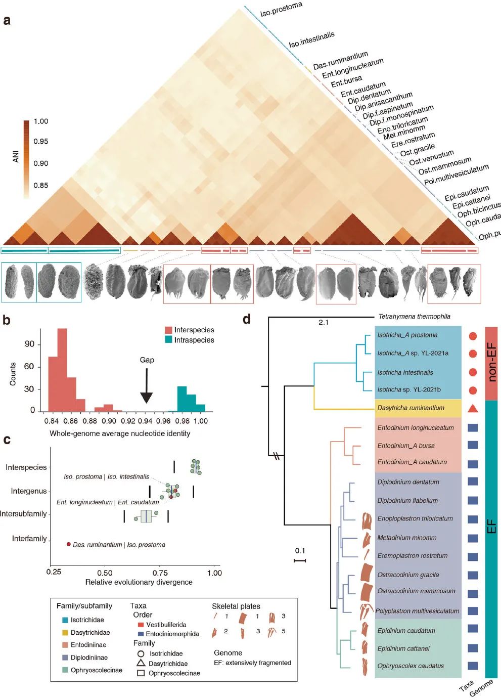 04558e7a4b764f11838cabe78be7df80.jpg 04558e7a4b764f11838cabe78be7df80.jpg